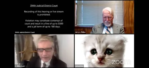 « Je ne suis pas un chat » : un avocat coincé avec un filtre lors...