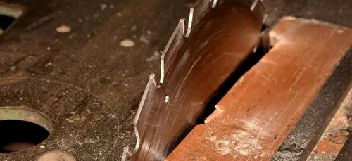 Ils demandent une scie à leurs voisins "pour faire disparaître un...