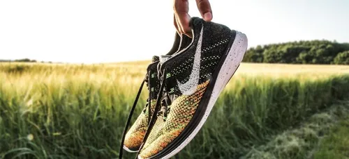 Démission de la vice-présidente de Nike : son fils recelait des...