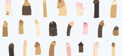 Y a-t-il une taille du pénis idéale ?