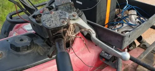 Quand une araignée géante saute sur le conducteur d'un quad (vidéo)