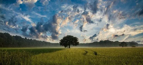 Météo du week-end : un temps instable et frais