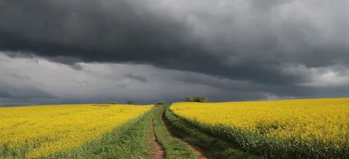 Météo du week-end : peu de soleil avant le retour des orages