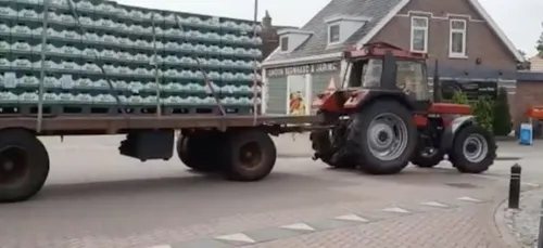 Ils profitent d'une promo spéciale et achètent plus de 11.000...