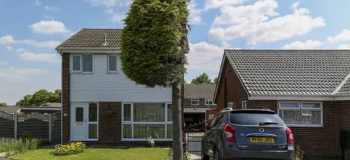 Ils coupent un arbre en deux en raison d'un conflit avec leurs...