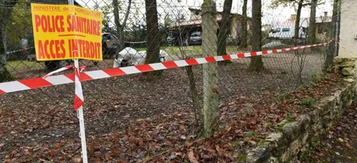 8 pays interdisent l'importation de volailles Françaises