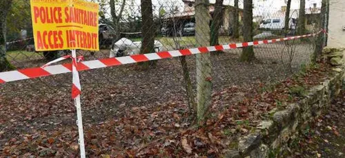 30 foyers de grippe aviaire