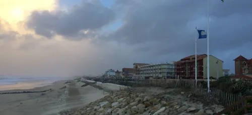 Vigilance Orange hier