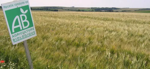 Les français favorables au bio