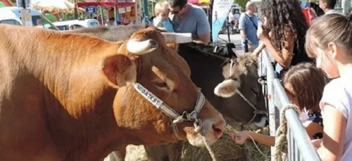 Le Bon Goût d'Aquitaine 2015