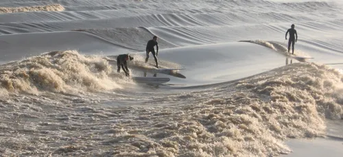Le Mascaret de retour en Gironde ce week-end
