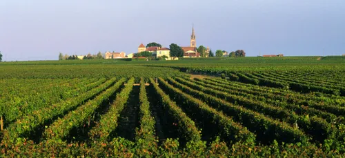 Listrac-Médoc : un quadragénaire roué de coups chez lui
