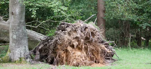 Gironde : une famille évite le pire pendant la tempête !