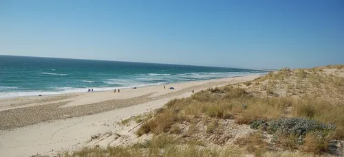 Un jeune homme devient tétraplégique en jouant dans les vagues