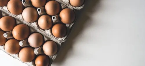 Fipronil : la liste des produits retirés de la vente s’est allongée !