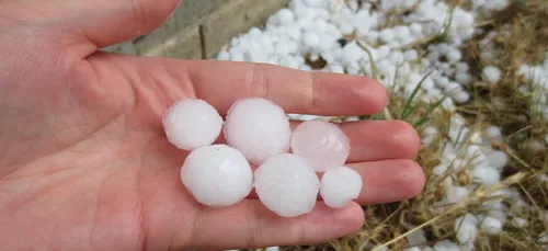 Gironde : de la grêle avant les vendanges