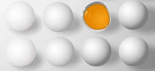 Scandale du fipronil : la Gironde est aussi concernée