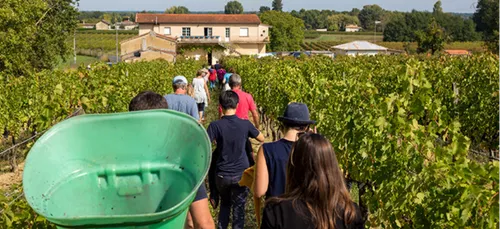 Tourisme : bon cru pour la saison 2017