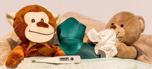 Nouvelle-Aquitaine : les virus sont de retour