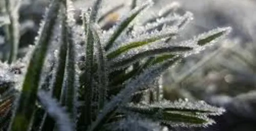 Le plan grand froid activé en Gironde et en Dordogne