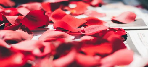 Dordogne : à Sarlat les messages d’amour s’affichent sur les...