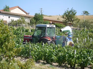 Des pesticides découverts dans des salles de classes du Médoc