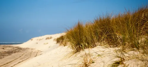 Le littoral aquitain continue de reculer