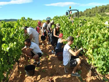 Gironde : c'est maintenant qu'on trouve un job pour cet été