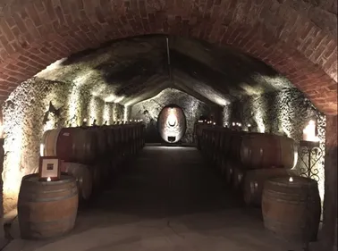 Bordeaux : le Festival de Caves vient de démarrer