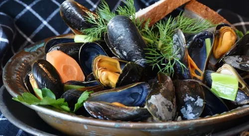 Banc d'Arguin : l'interdiction de consommer des moules est levée