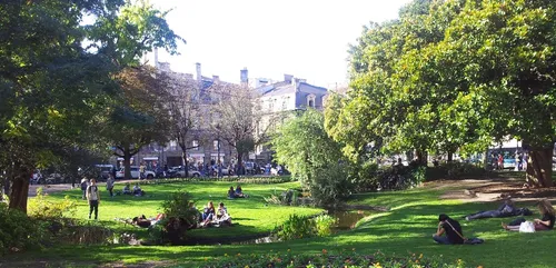 Bordeaux : les marronniers de la place Gambetta peuvent être sauvés