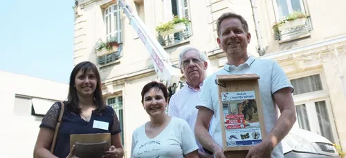 Bègles : des nichoirs pour lutter contre les moustiques
