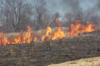 Dordogne : une incendiaire a été interpellée en flagrant délit