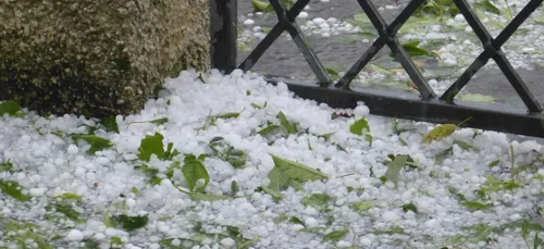 Nouvelle-Aquitaine : une enveloppe de quatre millions d’euros pour...