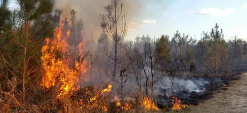 Dordogne : incendie suspect à La Roche-Chalais