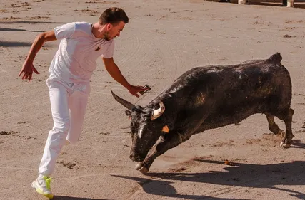 Bordeaux : le quartier de la Victoire est en fête jusqu'à jeudi soir