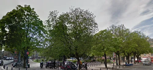 Bordeaux : du bruit pour les marronniers de la Place Gambetta