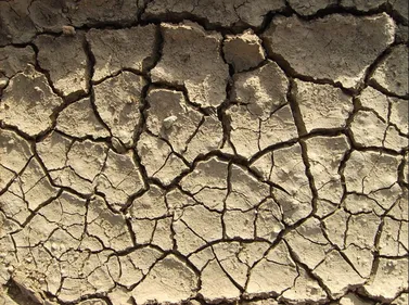 Bordeaux : le train du climat fait escale ce dimanche