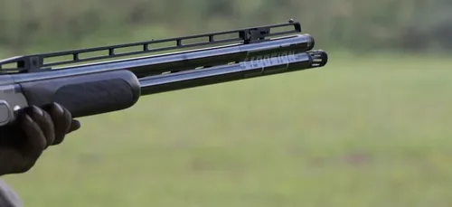 Cestas : une balle d’un chasseur traverse la baie vitrée d’une...