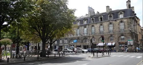 Bordeaux : les défenseurs des marronniers de la place Gambetta...