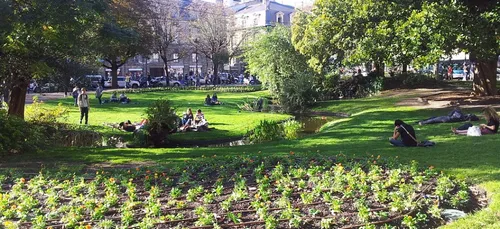 Bordeaux : les 17 marronniers de la Place Gambetta abattus