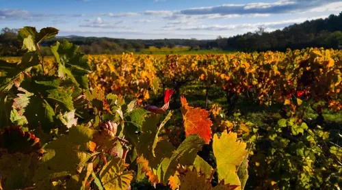 Nouvelle-Aquitaine : le covoiturage fait son arrivée dans le monde...