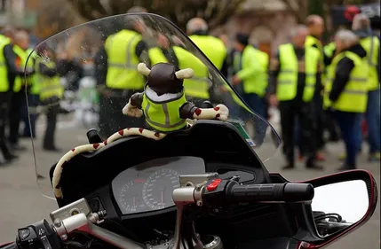 Gironde : les gilets jaunes s'organisent grâce à un site internet