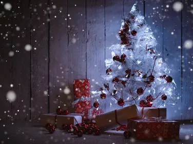 Nouvelle-Aquitaine : les conseils de l'Ademe pour passer un Noël...