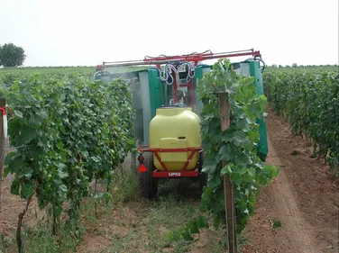 Bordeaux : les pesticides dans les vignes devant la justice