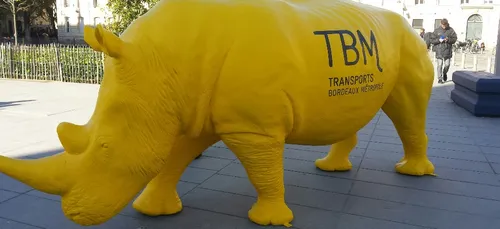 Bordeaux : les cyclistes sont dans le viseur de TBM