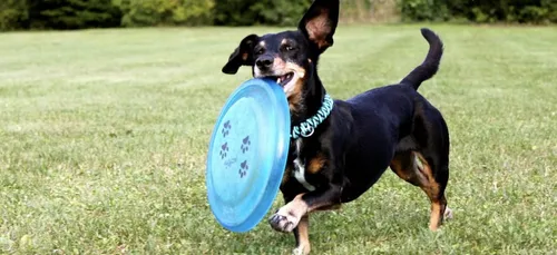 Bordeaux : 19ème du classement des villes où il fait bon vivre avec...