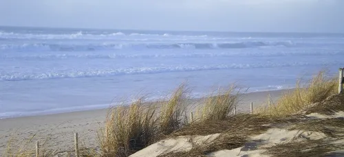 Gironde : un touriste meurt noyé sur une plage non surveillée