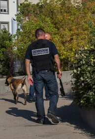 Langon : une partie du collège Toulouse-Lautrec évacuée