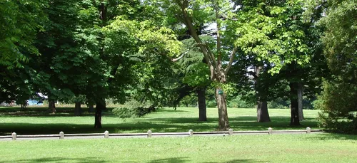Temp&ecirc;te Miguel en Gironde : les parcs et cimetières fermés à...